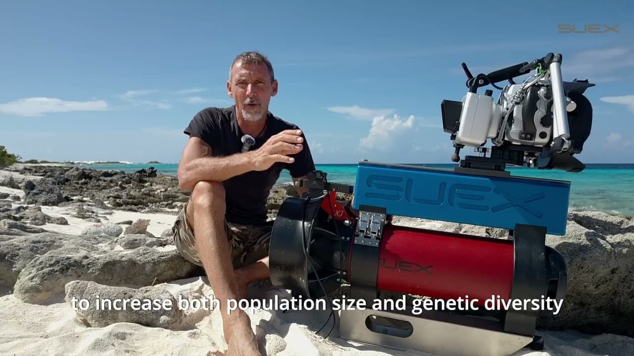 SUEX STORIES EP.30 “REEF OF RESILEINCE – BONAIRE”