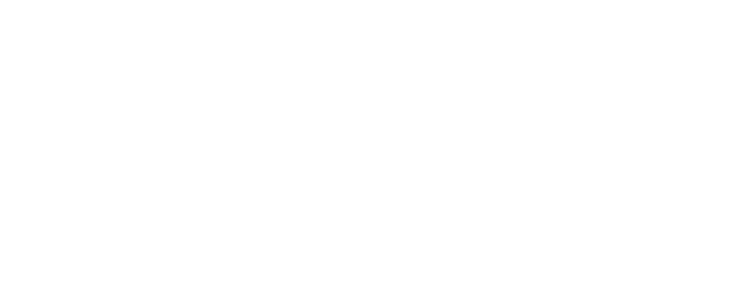 Logo di AION Group