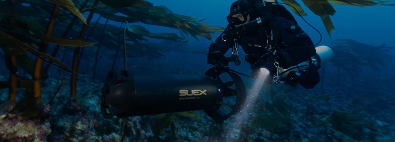 Subacqueo con un DPV SUEX Goldfinder XJ fra le alghe di una foresta di kelp